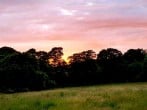 Skies Skies